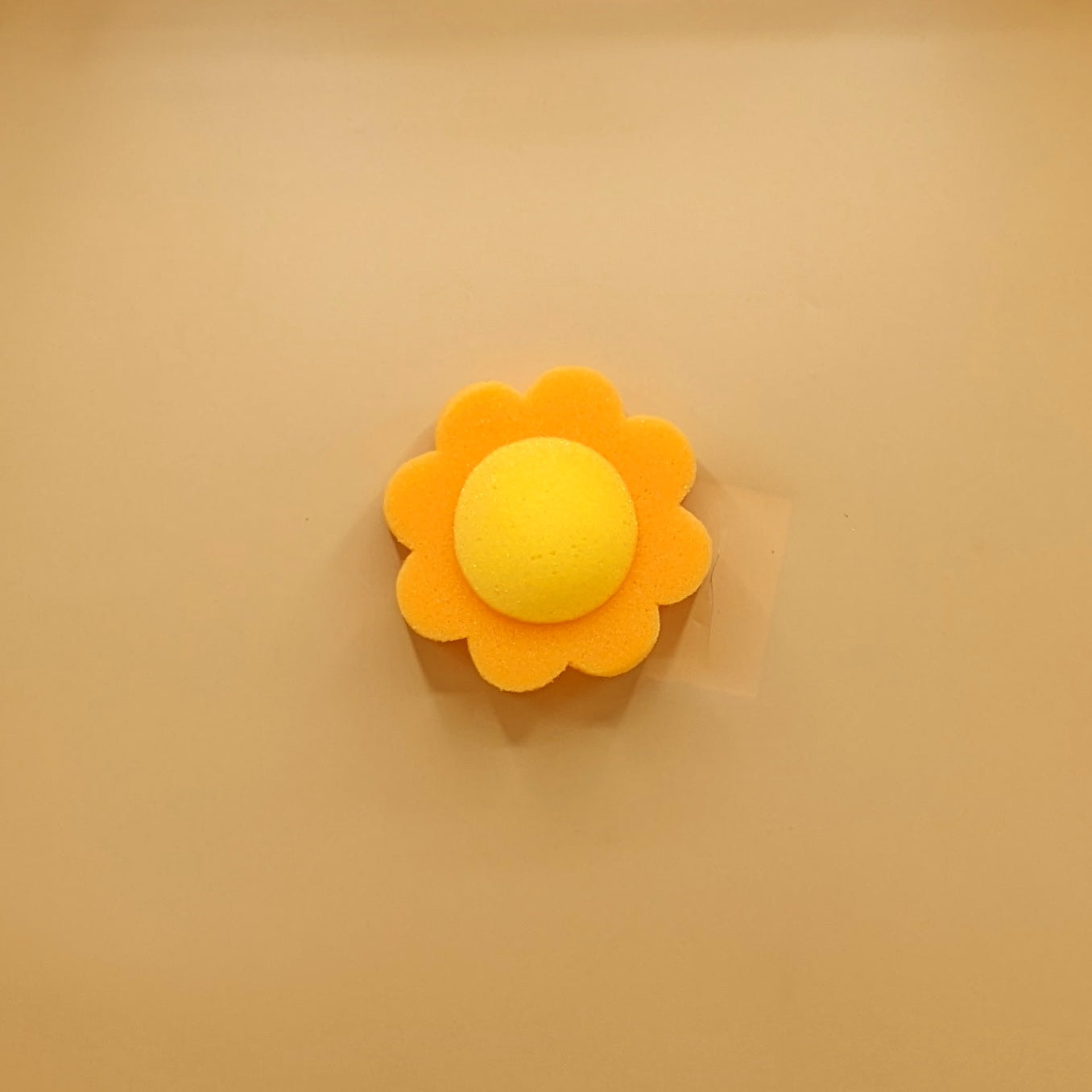 Bath Sponge - Fruits
