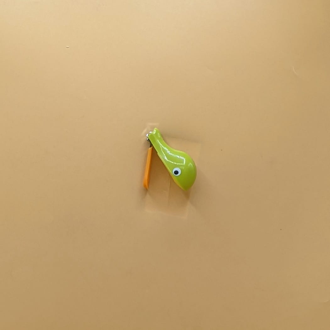 Baby Nail Cutter - Fish π