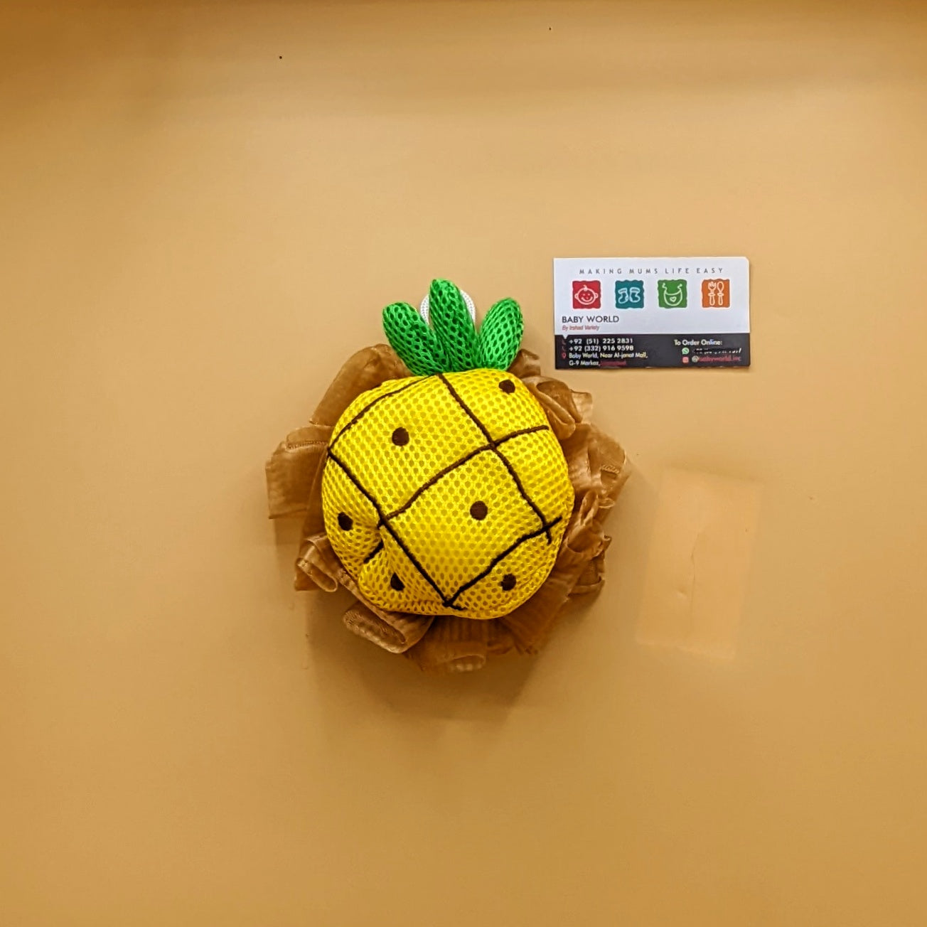 Bath Sponge