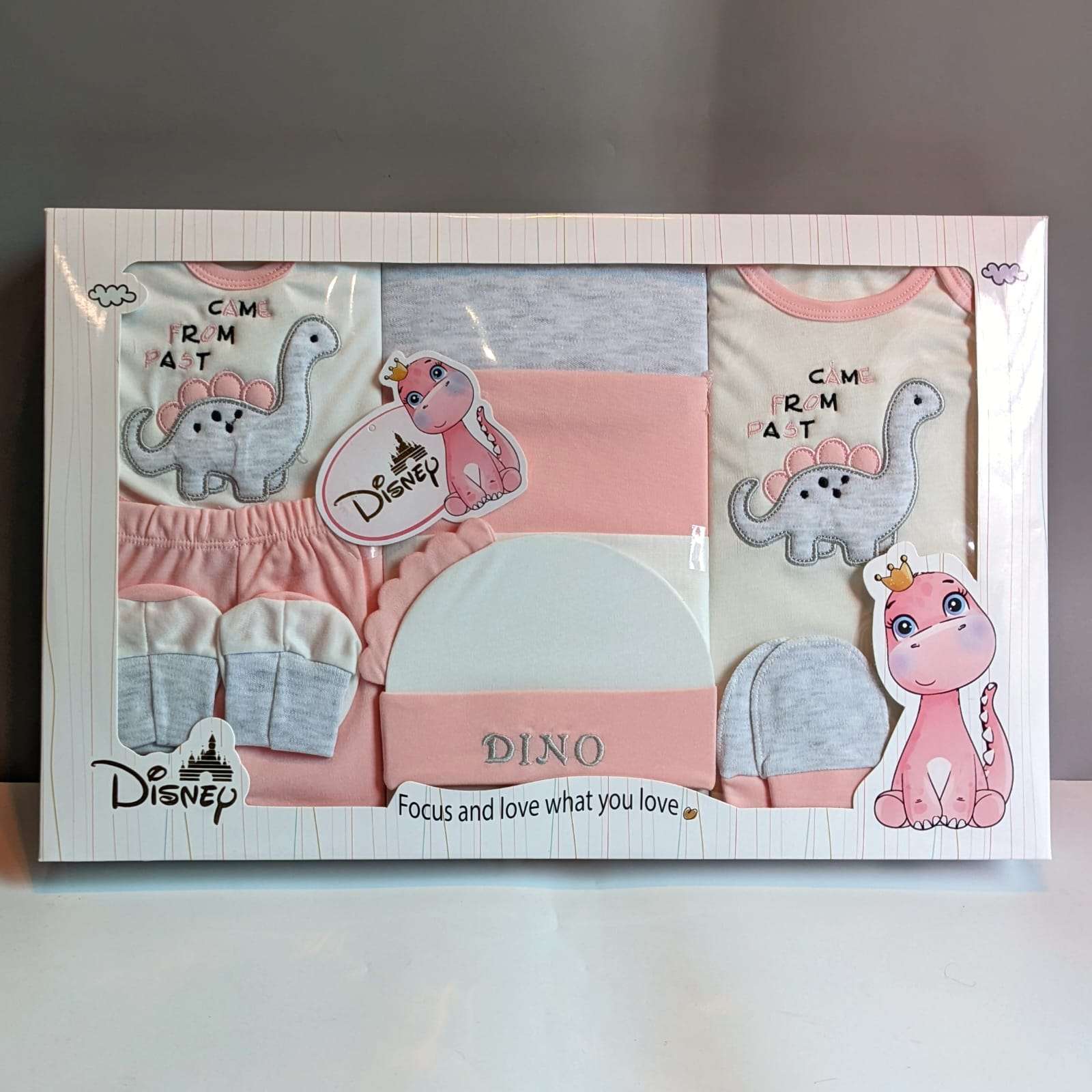 Starter/Gift Set - Dinosaur 🦕