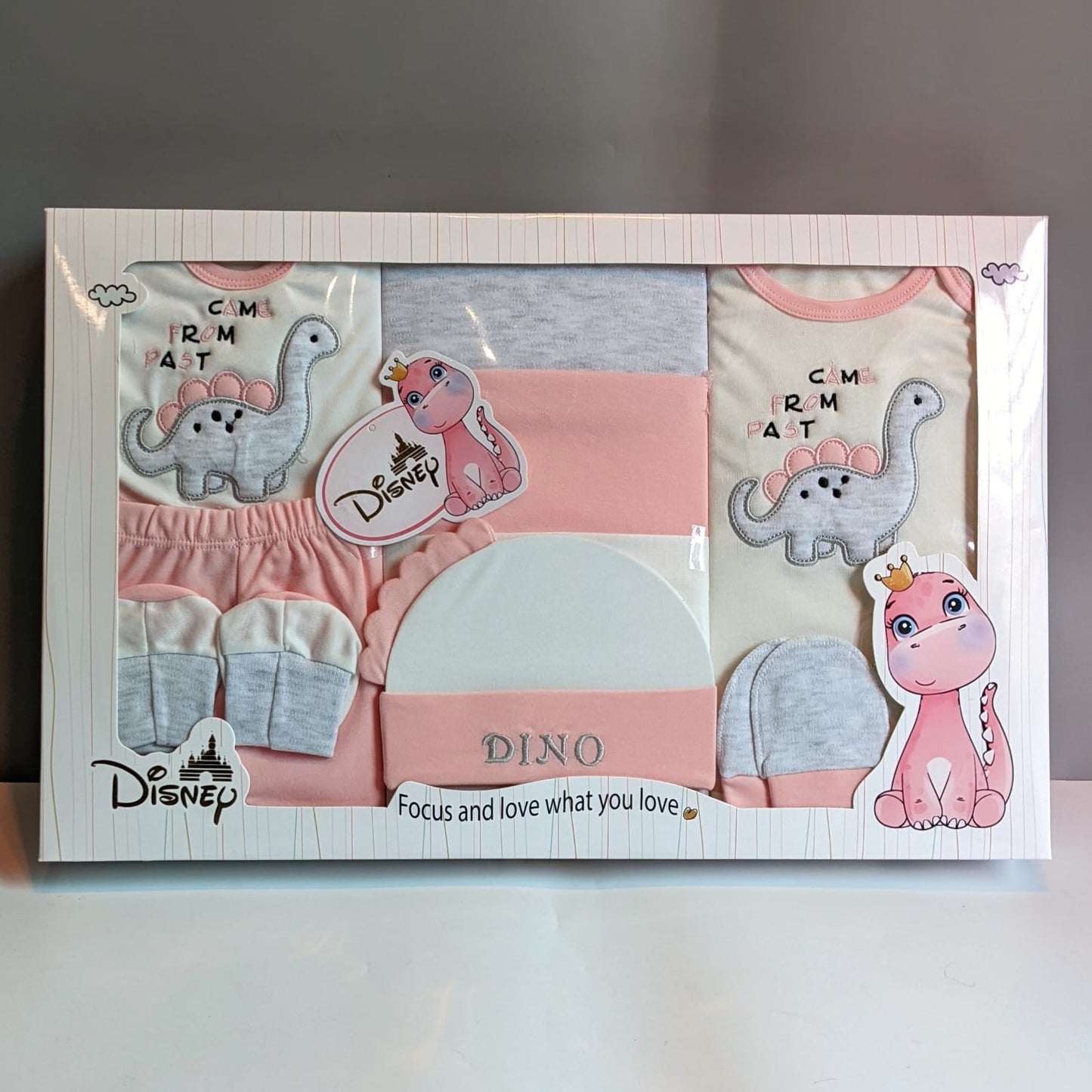 Starter/Gift Set - Dinosaur 🦕