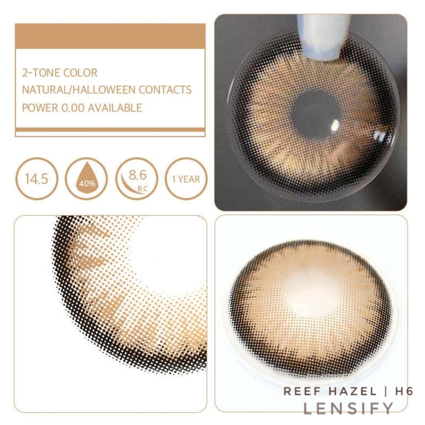 Reef Hazel